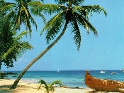 le th�me de bureau du mois !!!
