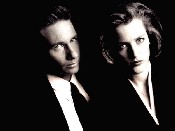 tv_xfiles_p.jpg (6084 octets)